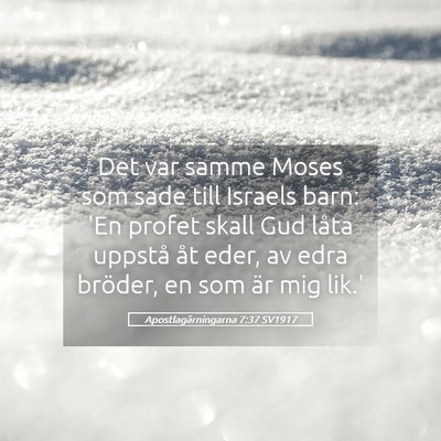 Picture 05 - Apostlagärningarna 7:37 SV1917 - Det var samme Moses som sade till Israels barn: - Bible Verse Picture