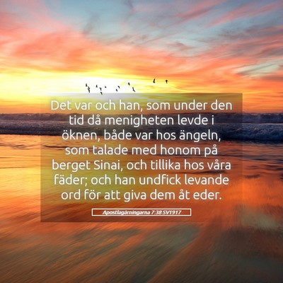 Picture 05 - Apostlagärningarna 7:38 SV1917 - Det var och han, som under den tid då menigheten - Bible Verse Picture
