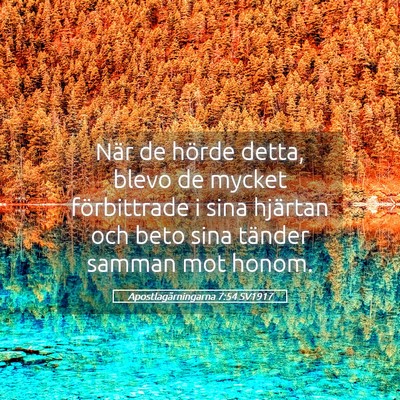 Picture 05 - Apostlagärningarna 7:54 SV1917 - När de hörde detta, blevo de mycket - Bible Verse Picture