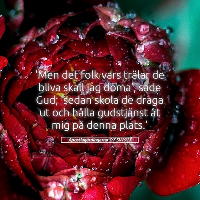 Picture 05 - Apostlagärningarna 7:7 SV1917 - 'Men det folk vars trälar de bliva skall jag - Bible Verse Picture