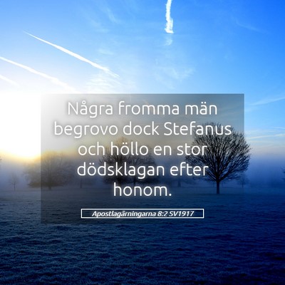 Picture 05 - Apostlagärningarna 8:2 SV1917 - Några fromma män begrovo dock Stefanus och - Bible Verse Picture