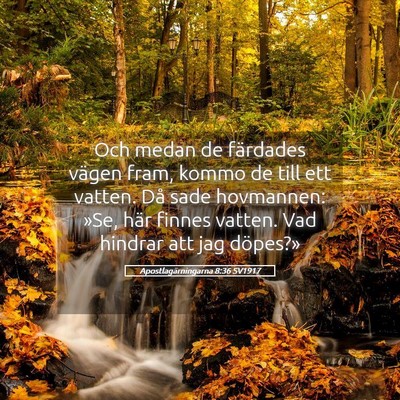 Picture 05 - Apostlagärningarna 8:36 SV1917 - Och medan de färdades vägen fram, kommo de till - Bible Verse Picture