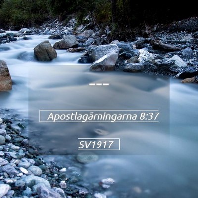 Picture 05 - Apostlagärningarna 8:37 SV1917 -  - Bible Verse Picture