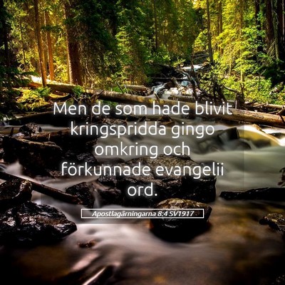 Picture 05 - Apostlagärningarna 8:4 SV1917 - Men de som hade blivit kringspridda gingo omkring - Bible Verse Picture