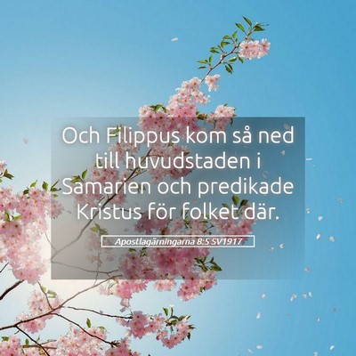 Picture 05 - Apostlagärningarna 8:5 SV1917 - Och Filippus kom så ned till huvudstaden i - Bible Verse Picture