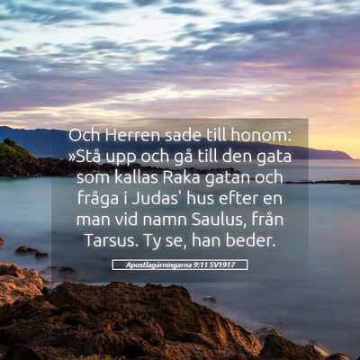 Picture 05 - Apostlagärningarna 9:11 SV1917 - Och Herren sade till honom: »Stå upp och gå - Bible Verse Picture