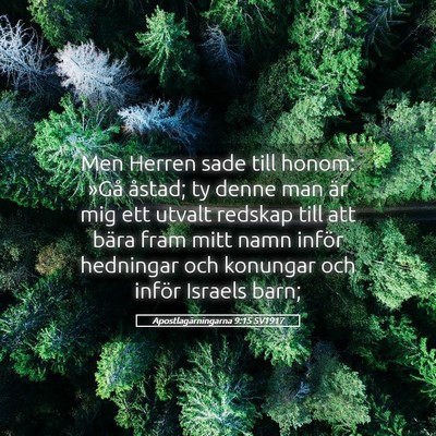 Picture 05 - Apostlagärningarna 9:15 SV1917 - Men Herren sade till honom: »Gå åstad; ty - Bible Verse Picture