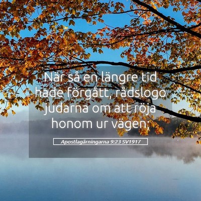 Picture 05 - Apostlagärningarna 9:23 SV1917 - När så en längre tid hade förgått, rådslogo - Bible Verse Picture