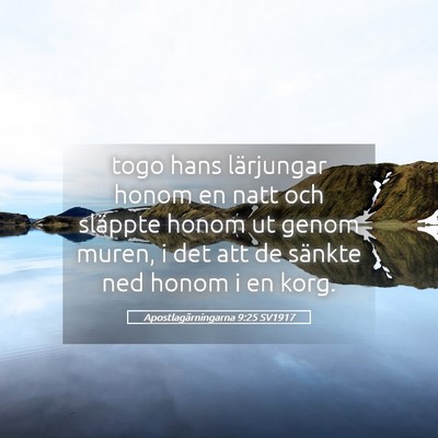 Picture 05 - Apostlagärningarna 9:25 SV1917 - togo hans lärjungar honom en natt och släppte - Bible Verse Picture