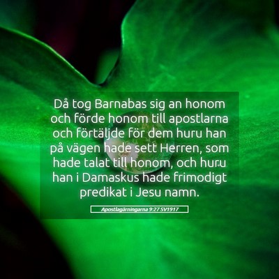 Picture 05 - Apostlagärningarna 9:27 SV1917 - Då tog Barnabas sig an honom och förde honom - Bible Verse Picture