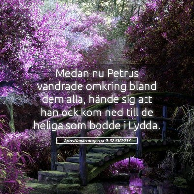 Picture 05 - Apostlagärningarna 9:32 SV1917 - Medan nu Petrus vandrade omkring bland dem alla, - Bible Verse Picture