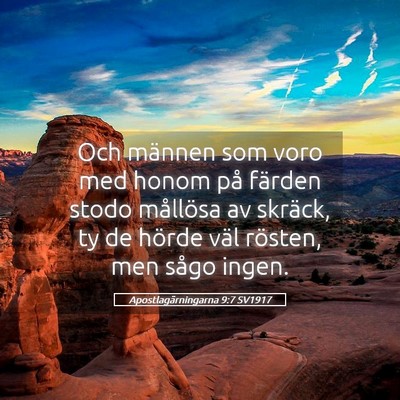 Picture 05 - Apostlagärningarna 9:7 SV1917 - Och männen som voro med honom på färden stodo - Bible Verse Picture