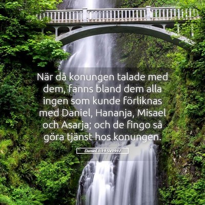 Picture 05 - Daniel 1:19 SV1917 - När då konungen talade med dem, fanns bland dem - Bible Verse Picture