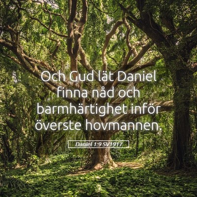 Picture 05 - Daniel 1:9 SV1917 - Och Gud lät Daniel finna nåd och barmhärtighet - Bible Verse Picture
