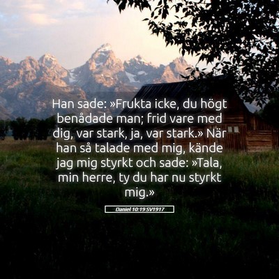 Picture 05 - Daniel 10:19 SV1917 - Han sade: »Frukta icke, du högt benådade man; - Bible Verse Picture