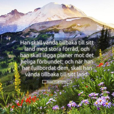 Picture 05 - Daniel 11:28 SV1917 - Han skall vända tillbaka till sitt land med - Bible Verse Picture