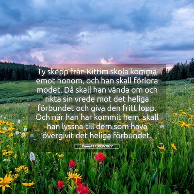 Picture 05 - Daniel 11:30 SV1917 - Ty skepp från Kittim skola komma emot honom, och - Bible Verse Picture