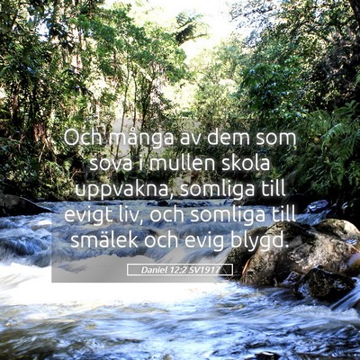Picture 05 - Daniel 12:2 SV1917 - Och många av dem som sova i mullen skola - Bible Verse Picture
