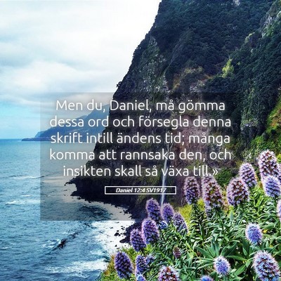 Picture 05 - Daniel 12:4 SV1917 - Men du, Daniel, må gömma dessa ord och - Bible Verse Picture