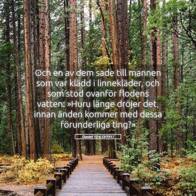 Picture 05 - Daniel 12:6 SV1917 - Och en av dem sade till mannen som var klädd i - Bible Verse Picture