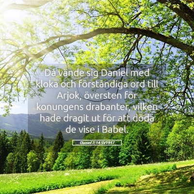 Picture 05 - Daniel 2:14 SV1917 - Då vände sig Daniel med kloka och förståndiga - Bible Verse Picture