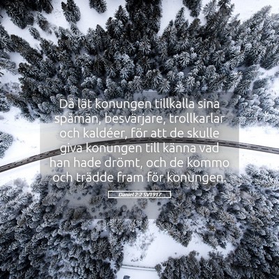 Picture 05 - Daniel 2:2 SV1917 - Då lät konungen tillkalla sina spåmän, - Bible Verse Picture