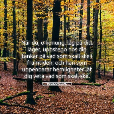 Picture 05 - Daniel 2:29 SV1917 - När du, o konung, låg på ditt läger, uppstego - Bible Verse Picture