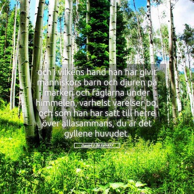 Picture 05 - Daniel 2:38 SV1917 - och i vilkens hand han har givit människors barn - Bible Verse Picture