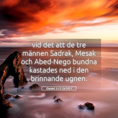 Picture 05 - Daniel 3:23 SV1917 - vid det att de tre männen Sadrak, Mesak och - Bible Verse Picture