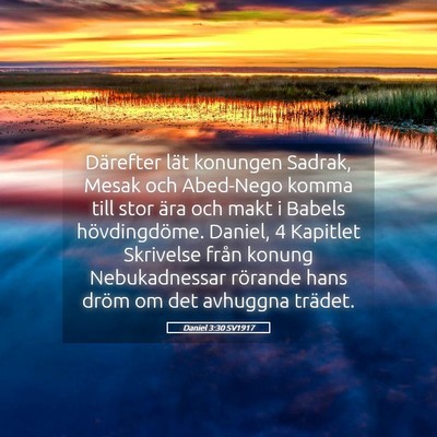 Picture 05 - Daniel 3:30 SV1917 - Därefter lät konungen Sadrak, Mesak och - Bible Verse Picture