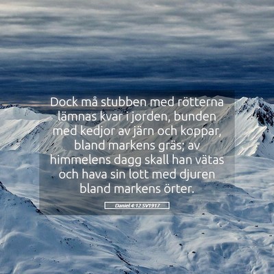 Picture 05 - Daniel 4:12 SV1917 - Dock må stubben med rötterna lämnas kvar i - Bible Verse Picture