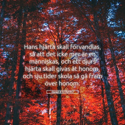 Picture 05 - Daniel 4:13 SV1917 - Hans hjärta skall förvandlas, så att det icke - Bible Verse Picture