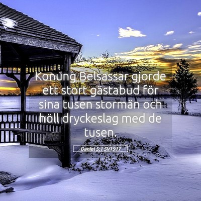 Picture 05 - Daniel 5:1 SV1917 - Konung Belsassar gjorde ett stort gästabud för - Bible Verse Picture