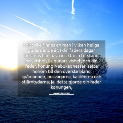 Picture 05 - Daniel 5:11 SV1917 - I ditt rike finnes en man i vilken heliga gudars - Bible Verse Picture