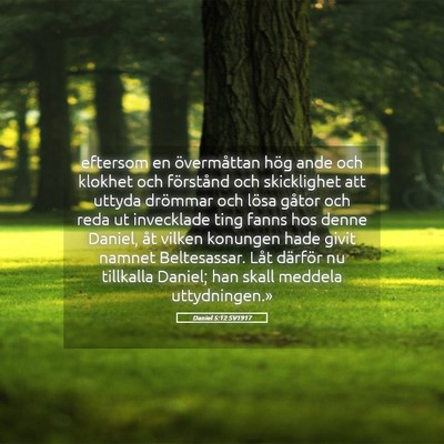 Picture 05 - Daniel 5:12 SV1917 - eftersom en övermåttan hög ande och klokhet - Bible Verse Picture
