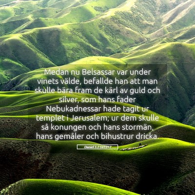 Picture 05 - Daniel 5:2 SV1917 - Medan nu Belsassar var under vinets välde, - Bible Verse Picture