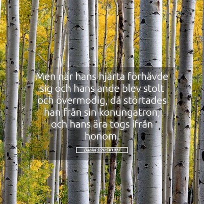 Picture 05 - Daniel 5:20 SV1917 - Men när hans hjärta förhävde sig och hans - Bible Verse Picture
