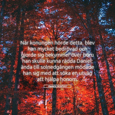 Picture 05 - Daniel 6:14 SV1917 - När konungen hörde detta, blev han mycket - Bible Verse Picture