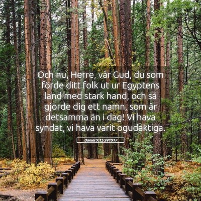 Picture 05 - Daniel 9:15 SV1917 - Och nu, Herre, vår Gud, du som förde ditt folk - Bible Verse Picture