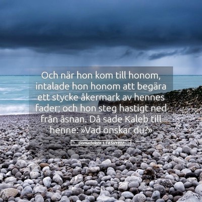Picture 05 - Domarboken 1:14 SV1917 - Och när hon kom till honom, intalade hon honom - Bible Verse Picture