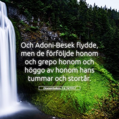 Picture 05 - Domarboken 1:6 SV1917 - Och Adoni-Besek flydde, men de förföljde honom - Bible Verse Picture