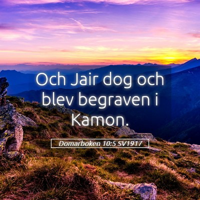 Picture 05 - Domarboken 10:5 SV1917 - Och Jair dog och blev begraven i - Bible Verse Picture