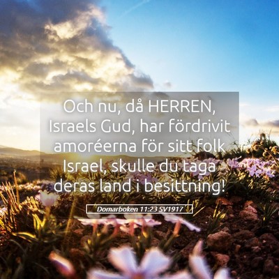 Picture 05 - Domarboken 11:23 SV1917 - Och nu, då HERREN, Israels Gud, har fördrivit - Bible Verse Picture