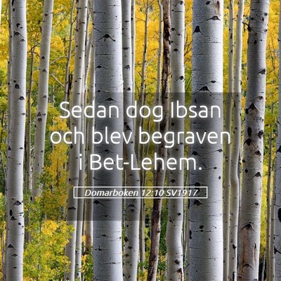 Picture 05 - Domarboken 12:10 SV1917 - Sedan dog Ibsan och blev begraven i - Bible Verse Picture
