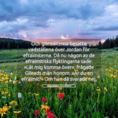 Picture 05 - Domarboken 12:5 SV1917 - Och gileaditerna besatte vadställena över - Bible Verse Picture