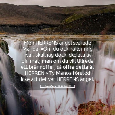 Picture 05 - Domarboken 13:16 SV1917 - Men HERRENS ängel svarade Manoa: »Om du ock - Bible Verse Picture