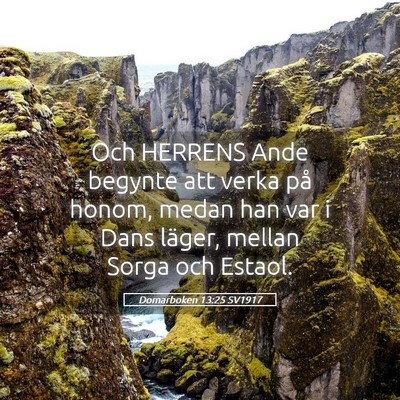 Picture 05 - Domarboken 13:25 SV1917 - Och HERRENS Ande begynte att verka på honom, - Bible Verse Picture