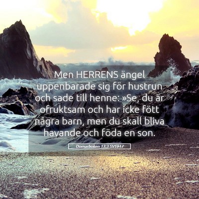 Picture 05 - Domarboken 13:3 SV1917 - Men HERRENS ängel uppenbarade sig för hustrun - Bible Verse Picture