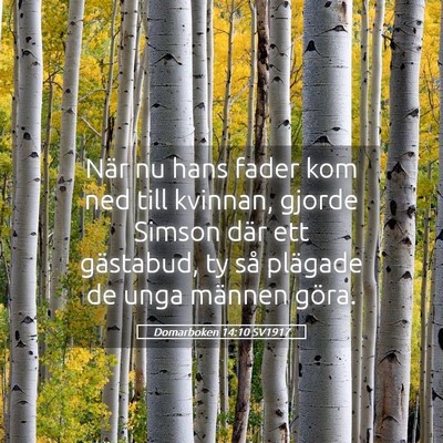 Picture 05 - Domarboken 14:10 SV1917 - När nu hans fader kom ned till kvinnan, gjorde - Bible Verse Picture