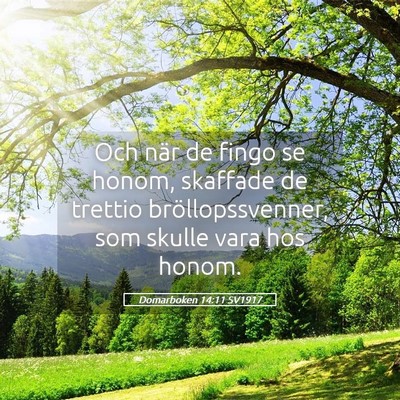 Picture 05 - Domarboken 14:11 SV1917 - Och när de fingo se honom, skaffade de trettio - Bible Verse Picture
